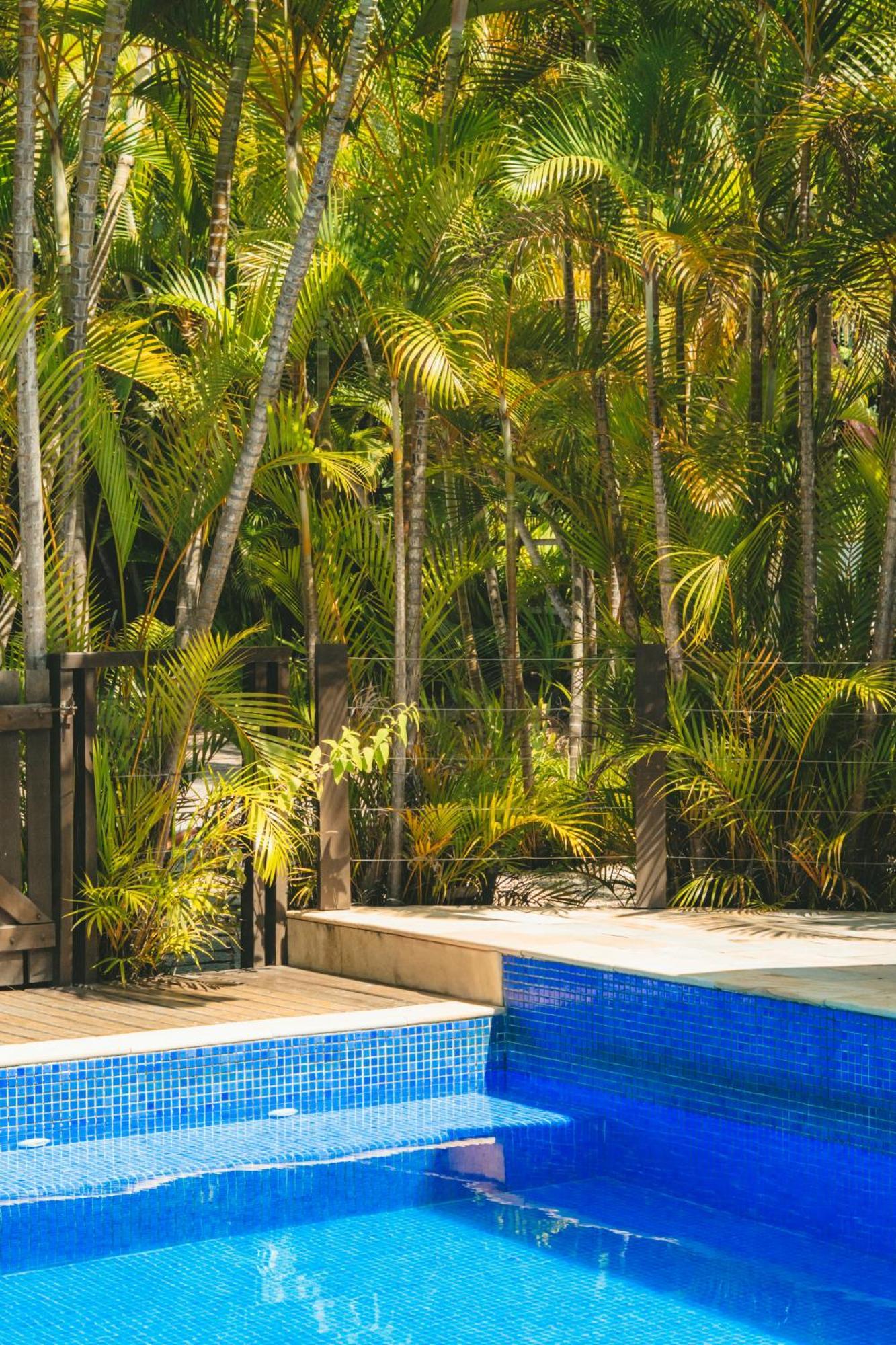 Pousada Vila Tamarindo Eco Lodge Florianópolis Eksteriør billede
